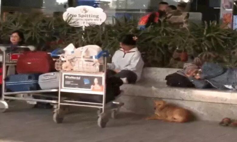 IndiGo crisis: Refunds by 8 pm tonight, show-cause notice to CEO; government in action