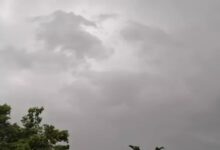 Cold wave grips MP, relief expected in Rajasthan: Snowfall alert in Badrinath-Kedarnath