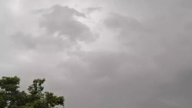 Cold wave grips MP, relief expected in Rajasthan: Snowfall alert in Badrinath-Kedarnath