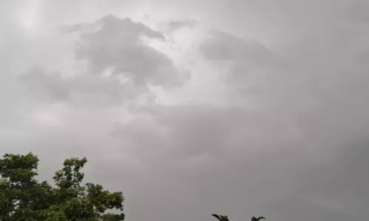 Cold wave grips MP, relief expected in Rajasthan: Snowfall alert in Badrinath-Kedarnath