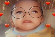 Wolf terror: A 4-month-old baby sleeping next to his mother was taken away from inside the house.