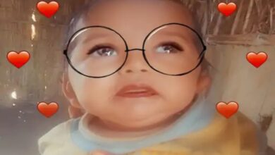 Wolf terror: A 4-month-old baby sleeping next to his mother was taken away from inside the house.