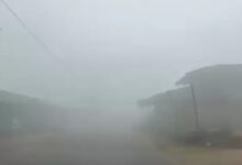 Cold wave alert in Chhattisgarh