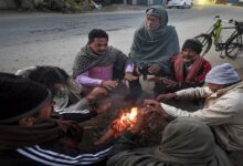 Cold wave alert in Madhya Pradesh: Mercury drops to 7°C in Bhopal, biting cold continues in North India.