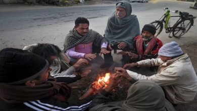 Cold wave alert in Madhya Pradesh: Mercury drops to 7°C in Bhopal, biting cold continues in North India.