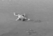 Poultry farm owner brutally murdered in Bilaspur: Body found in a pond.