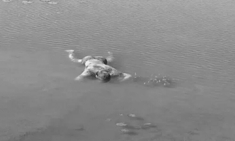 Poultry farm owner brutally murdered in Bilaspur: Body found in a pond.