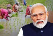 Pradhan Mantri Dhan-Dhanya Krishi Yojana: A major mission to increase farmers' income and productivity