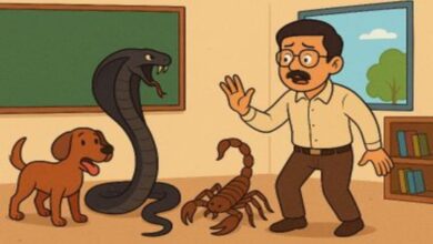 Teachers in Chhattisgarh are burdened with new responsibilities, including the duty to drive away dogs, snakes, and scorpions.