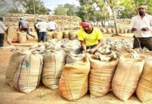 A nine-member advisory committee has been formed for the Raipur Literature Festival.