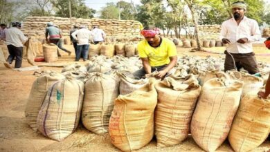 A nine-member advisory committee has been formed for the Raipur Literature Festival.