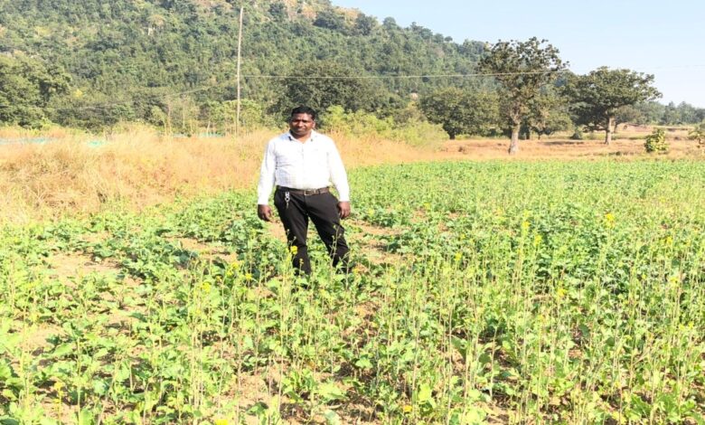 PMDDKY boosts farmers' income: Jashpur maize model becomes successful example