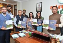 A major step towards energy transition in Chhattisgarh: Chief Minister Sai releases IISD-Swaniti report