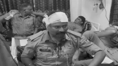 Forest department and police team attacked in Banaskantha, 47 injured; crowd pelted stones during tree plantation drive.