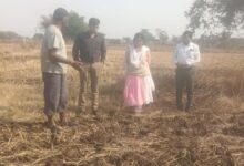 From banking to farming: Vivek Dhar Diwan sets a new example of crop diversification in the face of water scarcity.