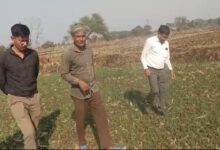 A path to prosperity beyond rice: Dilip Sinha, a farmer from Jewra, earned Rs 25 lakh from pulses and oilseeds.