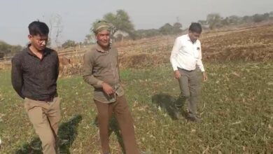 A path to prosperity beyond rice: Dilip Sinha, a farmer from Jewra, earned Rs 25 lakh from pulses and oilseeds.