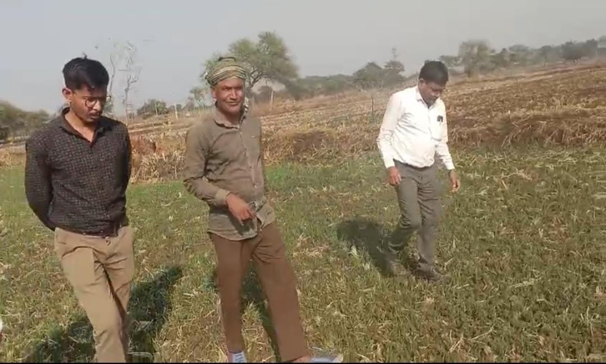 A path to prosperity beyond rice: Dilip Sinha, a farmer from Jewra, earned Rs 25 lakh from pulses and oilseeds.