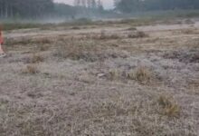 Dew freezes in Amarkantak, cold wave to intensify in Chhattisgarh for the next 4 days.