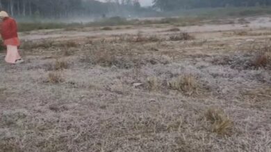 Dew freezes in Amarkantak, cold wave to intensify in Chhattisgarh for the next 4 days.