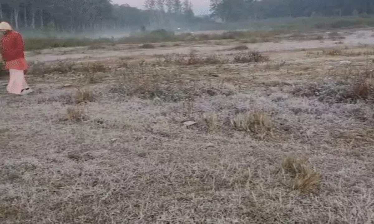 Dew freezes in Amarkantak, cold wave to intensify in Chhattisgarh for the next 4 days.