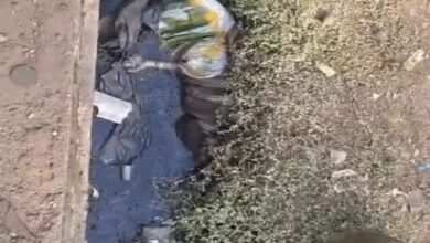 Live-in partner murdered: Killed after a drinking party, body stuffed in a sack and thrown into a drain.