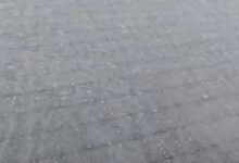 Dense fog and biting cold prevail in Rajasthan, Madhya Pradesh, Uttar Pradesh, and Bihar.