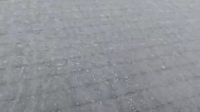 Dense fog and biting cold prevail in Rajasthan, Madhya Pradesh, Uttar Pradesh, and Bihar.