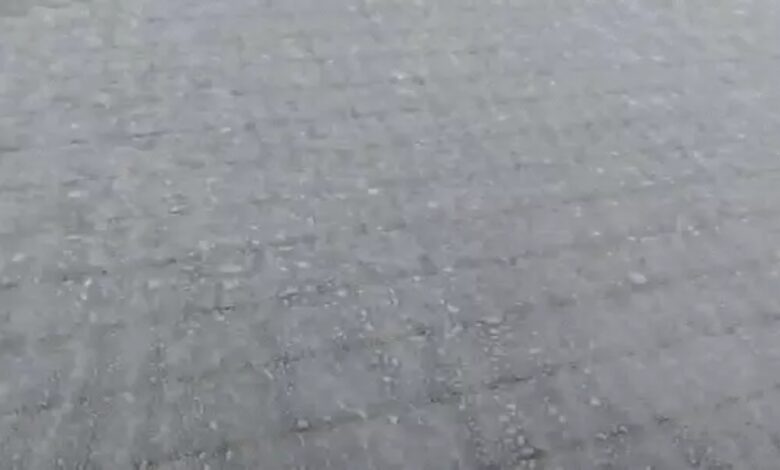 Dense fog and biting cold prevail in Rajasthan, Madhya Pradesh, Uttar Pradesh, and Bihar.