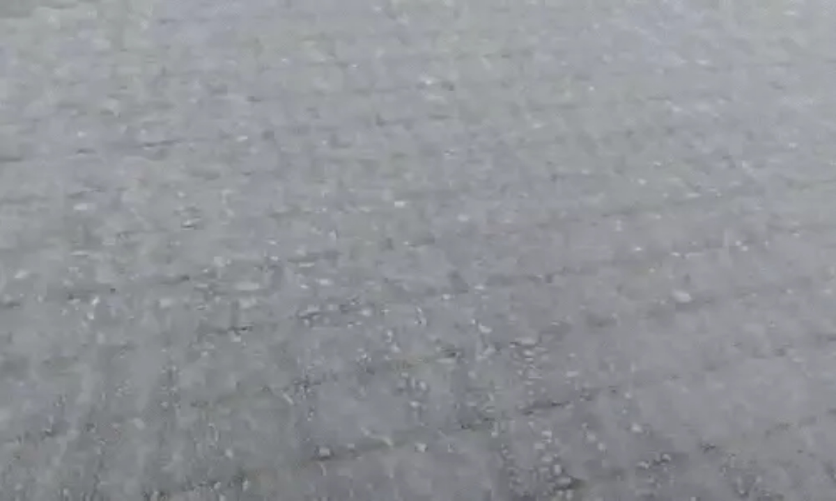 Dense fog and biting cold prevail in Rajasthan, Madhya Pradesh, Uttar Pradesh, and Bihar.