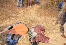 Two friends died in Jashpur after being electrocuted by a trap set for wild boars; their bodies were recovered from a dam six days later.