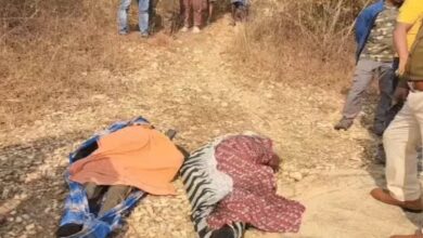 Two friends died in Jashpur after being electrocuted by a trap set for wild boars; their bodies were recovered from a dam six days later.