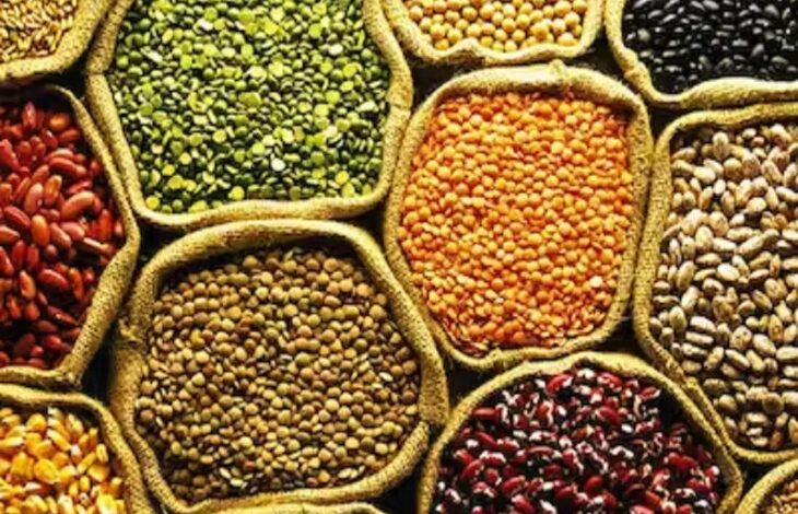 The central government has approved the procurement of pulses and oilseeds from farmers; the Kharif crop will be purchased through Markfed and cooperative societies.