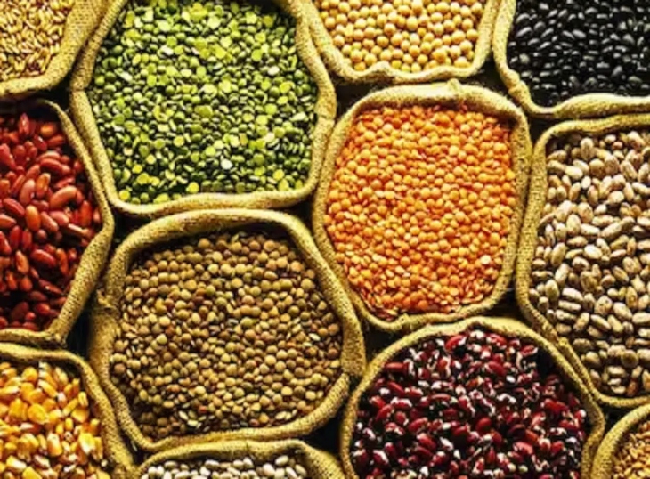 The central government has approved the procurement of pulses and oilseeds from farmers; the Kharif crop will be purchased through Markfed and cooperative societies.