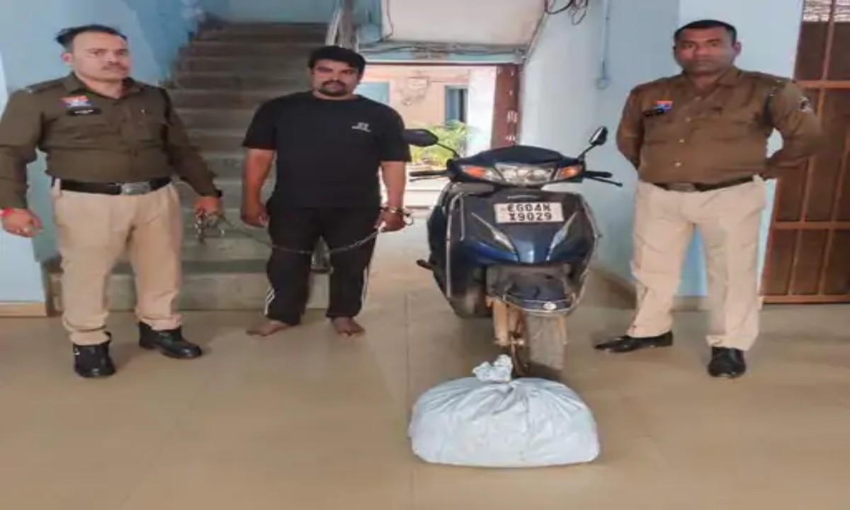 In Raipur, two monitor lizards, 5 kg of cannabis, and ₹1.27 lakh in cash were recovered from the trunk of a drug trafficker's car.