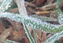 Cold wave wreaks havoc in Surguja.