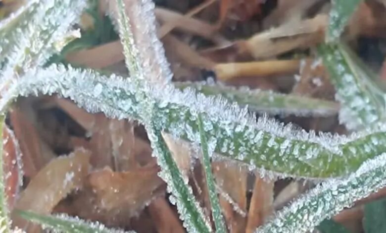 Cold wave wreaks havoc in Surguja.