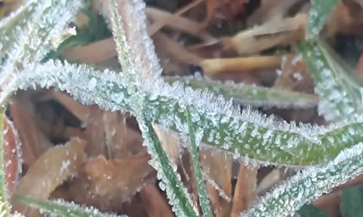 Cold wave wreaks havoc in Surguja.