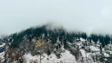 Dense fog blankets Madhya Pradesh, Uttar Pradesh and Haryana, while snowfall hits the hilly states.