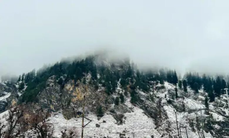 Dense fog blankets Madhya Pradesh, Uttar Pradesh and Haryana, while snowfall hits the hilly states.