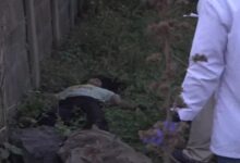 Girlfriend murdered for refusing to have sex with friend: Murder in Durg, body dumped in Raipur; accused arrested from Uttar Pradesh.