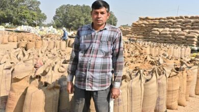 Support prices pave the way to prosperity: Increased income for farmers through paddy procurement and crop diversification.