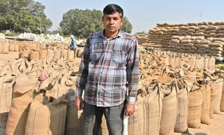 Support prices pave the way to prosperity: Increased income for farmers through paddy procurement and crop diversification.