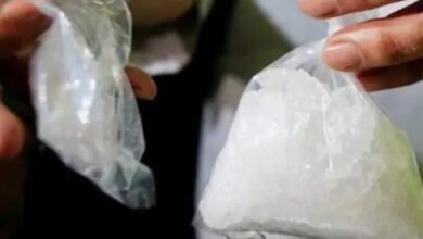 In Mumbai, drugs worth over ₹814 crore have been seized this year, and 1,386 people have been arrested.