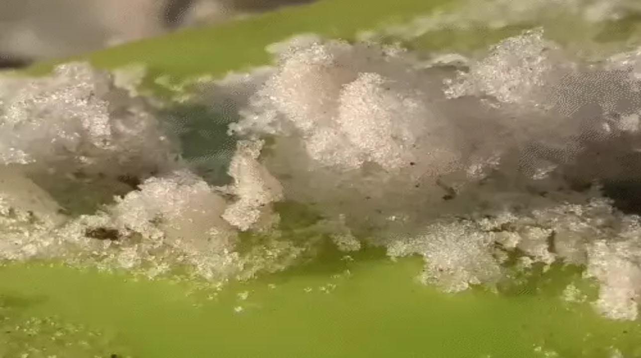 Intense cold wave grips Chhattisgarh... dew freezes into ice; relief expected in 3 days.