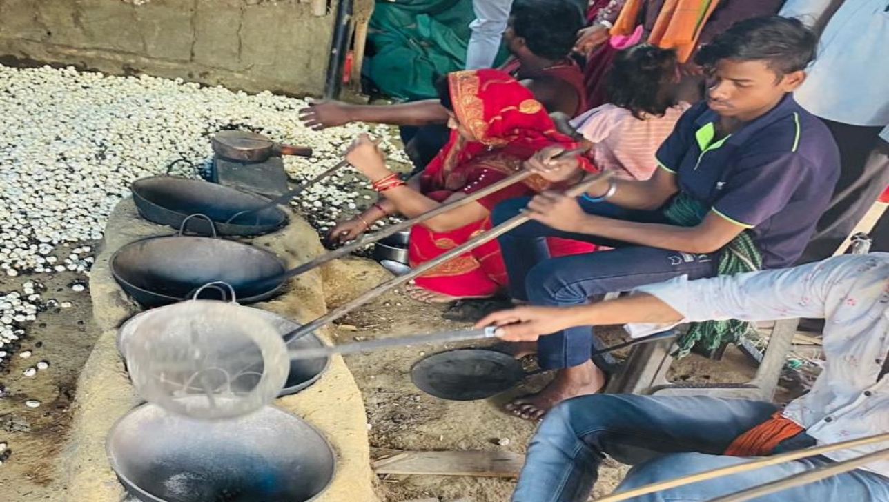 From poverty to prosperity: Makhana cultivation will transform the economic lives of rural women in Dhamtari.