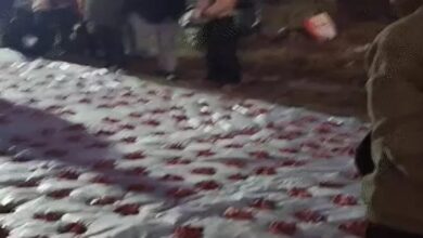 In Ambikapur, a goat infected with rabies was sacrificed, and 400 villagers consumed its meat; the health department has issued an alert.