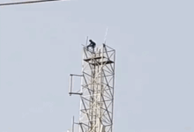 Husband stages high-voltage drama on a 200-foot-tall mobile tower in Korba.