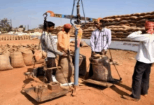 So far, 87 lakh tonnes of paddy have been procured using 17.24 lakh tokens.