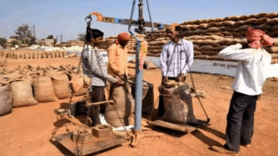 So far, 87 lakh tonnes of paddy have been procured using 17.24 lakh tokens.